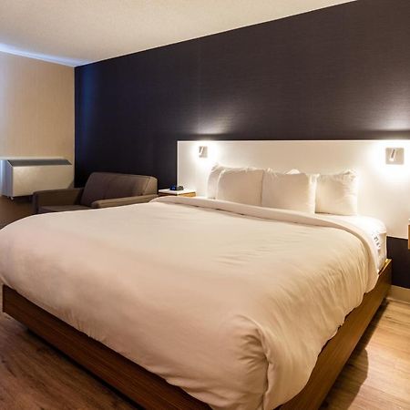 Comfort Inn Rouyn Eksteriør billede